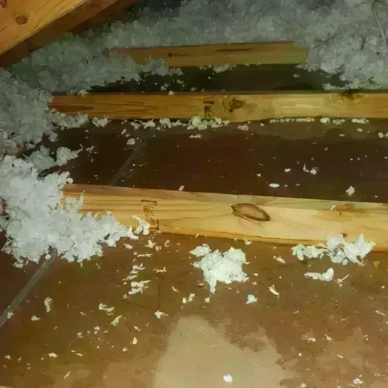 Attic Water Damage in Manistique, MI